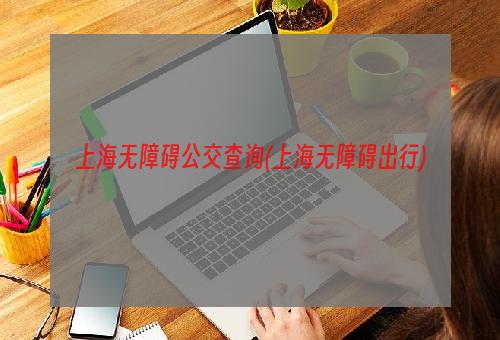 上海无障碍公交查询(上海无障碍出行)