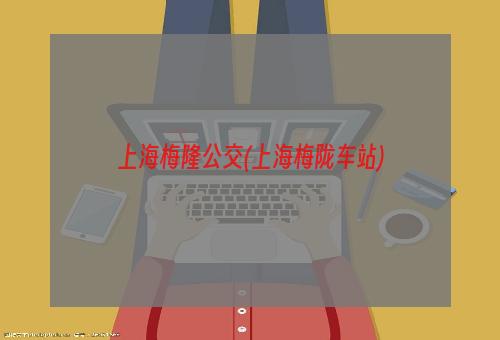 上海梅隆公交(上海梅陇车站)