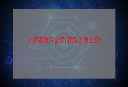 上海老照片公交(老版上海公交)