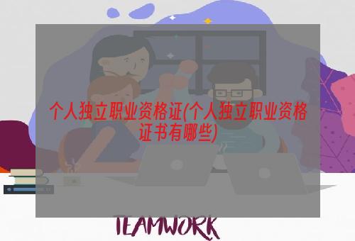 个人独立职业资格证(个人独立职业资格证书有哪些)