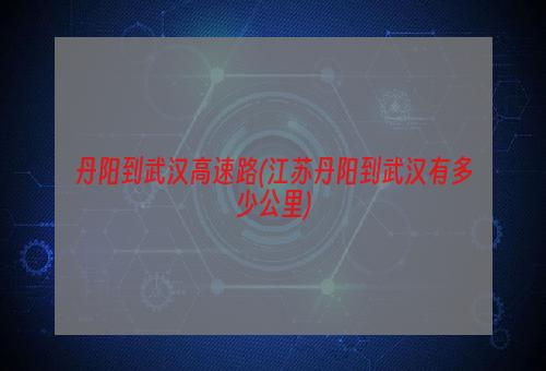 丹阳到武汉高速路(江苏丹阳到武汉有多少公里)