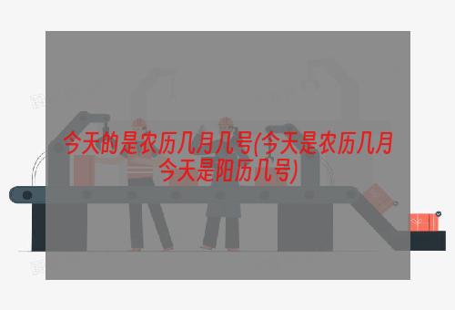 今天的是农历几月几号(今天是农历几月今天是阳历几号)