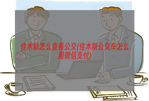 佳木斯怎么查看公交(佳木斯公交车怎么用微信支付)