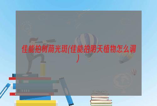 佳能拍树荫光斑(佳能拍阴天植物怎么调)