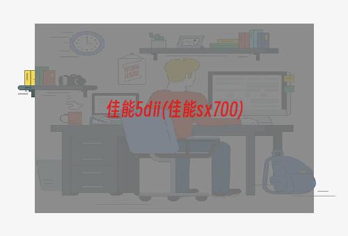 佳能5dⅱ(佳能sⅹ700)