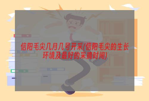 信阳毛尖几月几号开采(信阳毛尖的生长环境及最好的采摘时间)