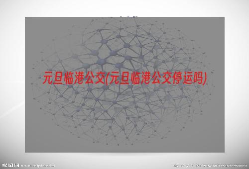 元旦临港公交(元旦临港公交停运吗)