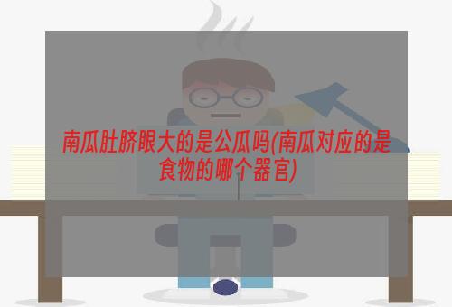 南瓜肚脐眼大的是公瓜吗(南瓜对应的是食物的哪个器官)