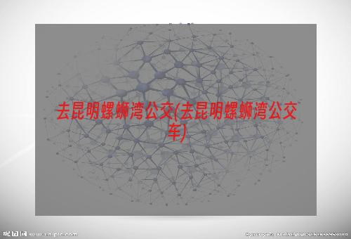 去昆明螺蛳湾公交(去昆明螺蛳湾公交车)