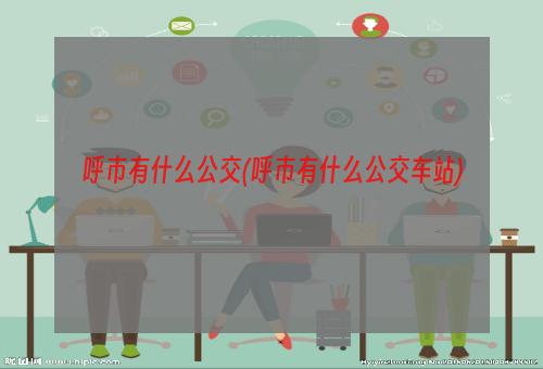 呼市有什么公交(呼市有什么公交车站)