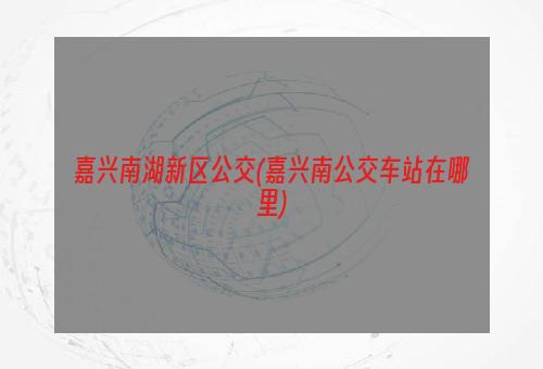 嘉兴南湖新区公交(嘉兴南公交车站在哪里)