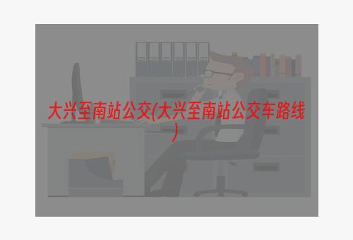 大兴至南站公交(大兴至南站公交车路线)