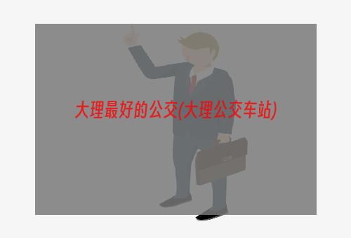 大理最好的公交(大理公交车站)