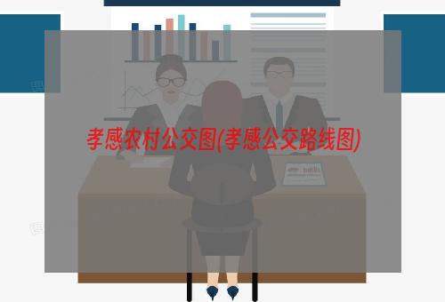 孝感农村公交图(孝感公交路线图)