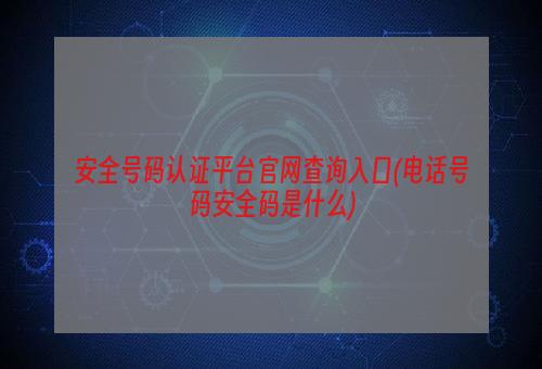 安全号码认证平台官网查询入口(电话号码安全码是什么)