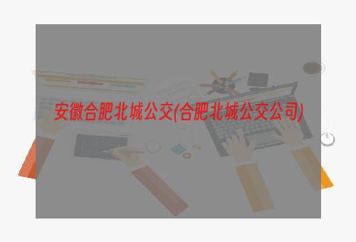 安徽合肥北城公交(合肥北城公交公司)