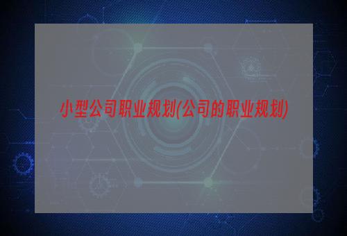 小型公司职业规划(公司的职业规划)