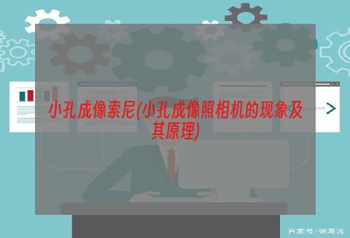 小孔成像索尼(小孔成像照相机的现象及其原理)