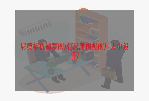 尼康相机调整图片(尼康相机图片大小设置)