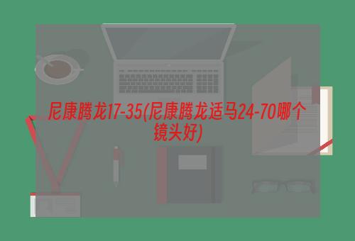 尼康腾龙17-35(尼康腾龙适马24-70哪个镜头好)