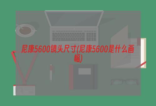 尼康5600镜头尺寸(尼康5600是什么画幅)