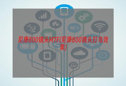 尼康800镜头MTF(尼康800镜头打鸟效果)