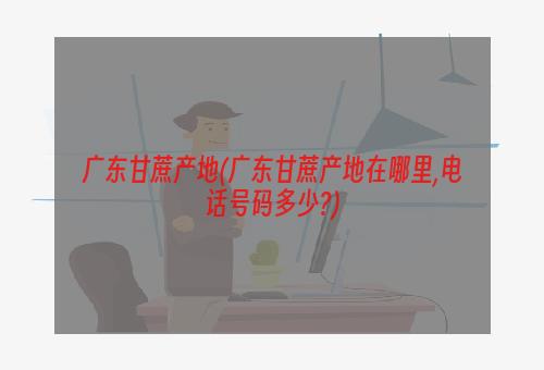 广东甘蔗产地(广东甘蔗产地在哪里,电话号码多少?)