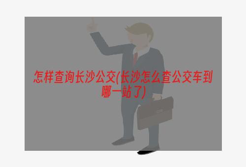 怎样查询长沙公交(长沙怎么查公交车到哪一站了)