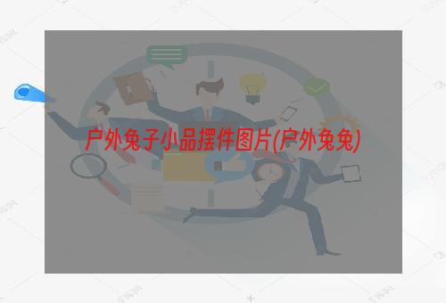 户外兔子小品摆件图片(户外兔兔)