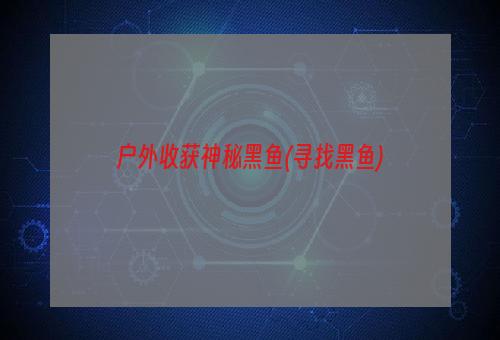 户外收获神秘黑鱼(寻找黑鱼)