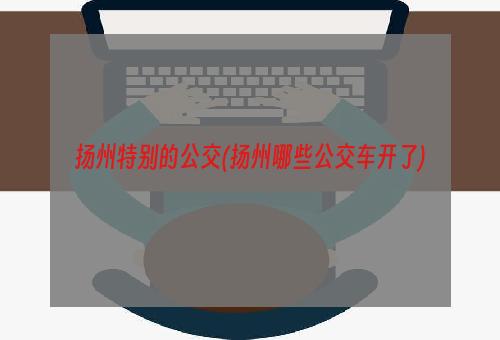 扬州特别的公交(扬州哪些公交车开了)