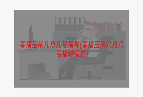 春播玉米几月几号播种(春播玉米几月几号播种最好)