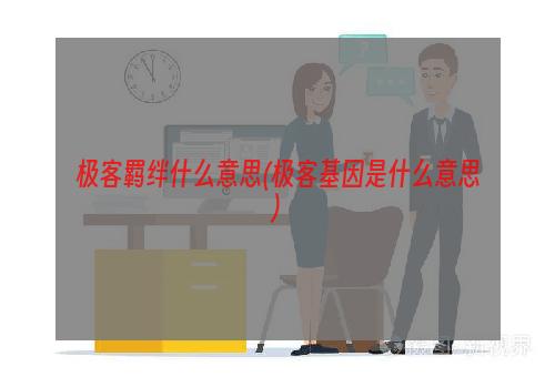 极客羁绊什么意思(极客基因是什么意思)