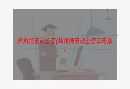 林州纯电动公交(林州纯电动公交车电话)