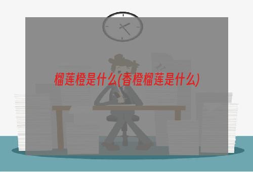 榴莲橙是什么(香橙榴莲是什么)