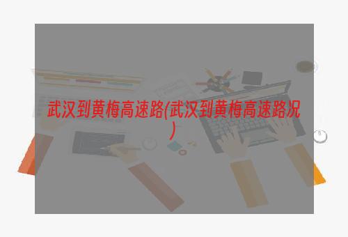 武汉到黄梅高速路(武汉到黄梅高速路况)