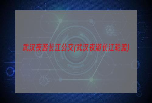 武汉夜游长江公交(武汉夜游长江轮渡)