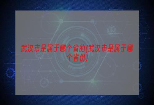 武汉市是属于哪个省的(武汉市是属于哪个省份)