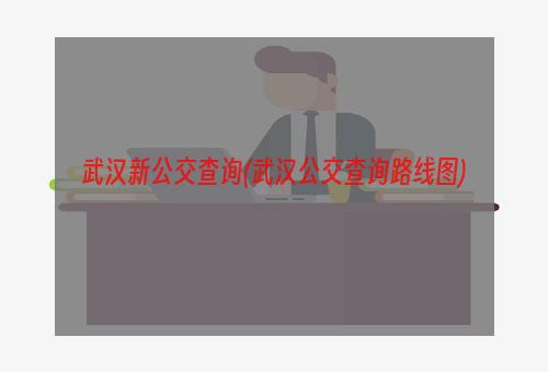 武汉新公交查询(武汉公交查询路线图)