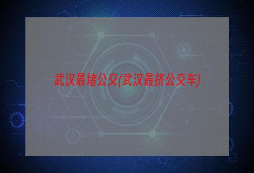 武汉最堵公交(武汉最挤公交车)