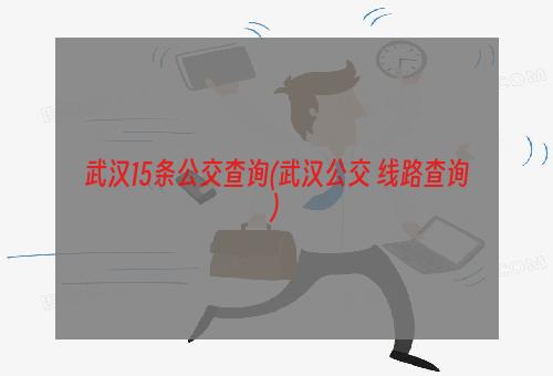 武汉15条公交查询(武汉公交 线路查询)