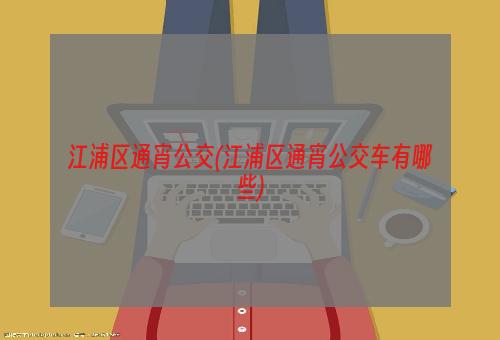 江浦区通宵公交(江浦区通宵公交车有哪些)