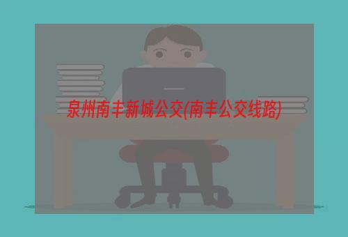 泉州南丰新城公交(南丰公交线路)