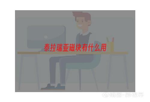 泰拉瑞亚磁块有什么用