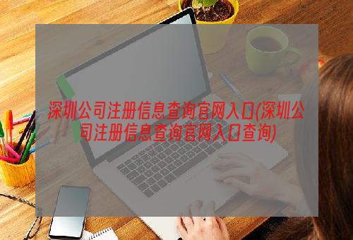 深圳公司注册信息查询官网入口(深圳公司注册信息查询官网入口查询)