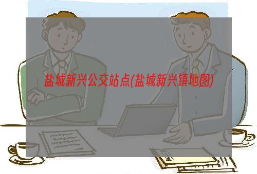 盐城新兴公交站点(盐城新兴镇地图)