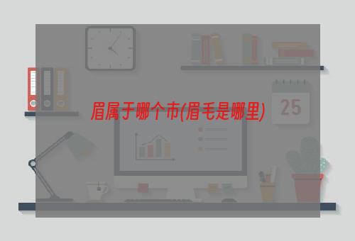 眉属于哪个市(眉毛是哪里)