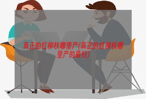 真正的红柳枝哪里产(真正的红柳枝哪里产的最好)