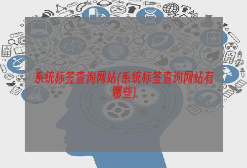 系统标签查询网站(系统标签查询网站有哪些)