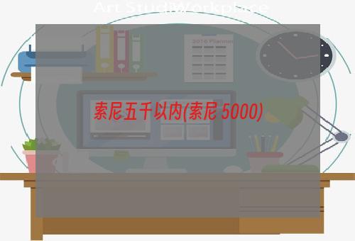 索尼五千以内(索尼 5000)